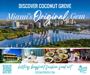 Business Improvement District